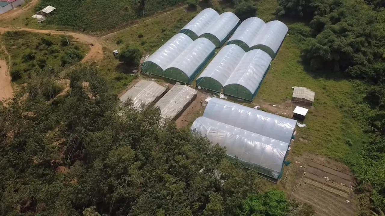 Réalisations du groupe